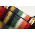 DIOR TOTE seven colorful stripes